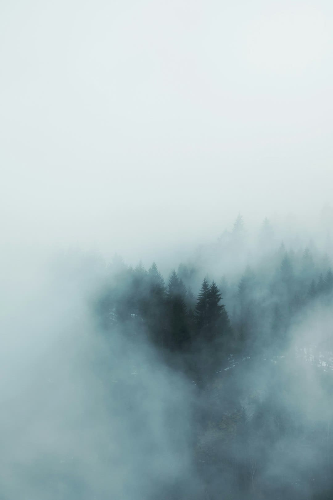 普京与特朗普新一轮会谈何时进行？俄方回应：可能是近期
